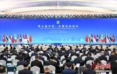 携手应对跨境犯罪 中外专家建言打出“组合拳”